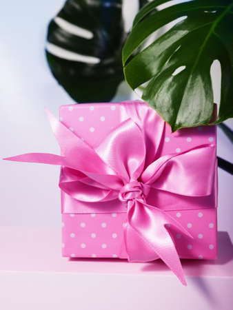 One gift box with a pink ribbon next to the leaves of the house plant.の写真素材