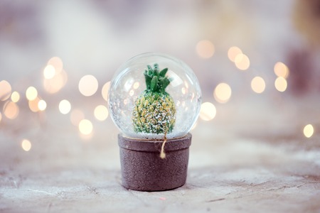 Snow globe with snow flakes and trendy cactus,festive bokeh backgroundの写真素材