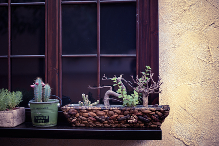 Cozy house with wooden shutters and pots with cacti on windowsの写真素材