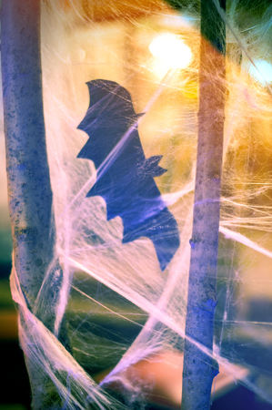 The concept of Halloween. Childrens party decoration Bat in a spider webの写真素材