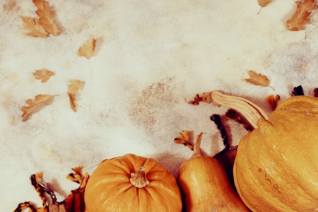 Autumn background with pumpkins overhead view with copy spaceの写真素材