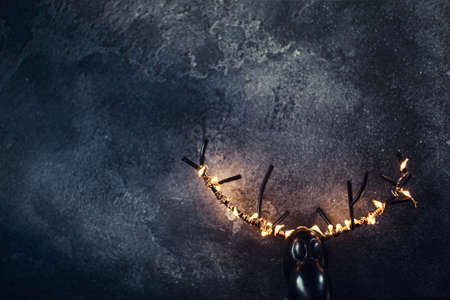 Top view of golden Christmas deer decoration with lights over black backgroundの写真素材