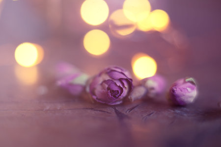 rose buds and petals on old wooden table