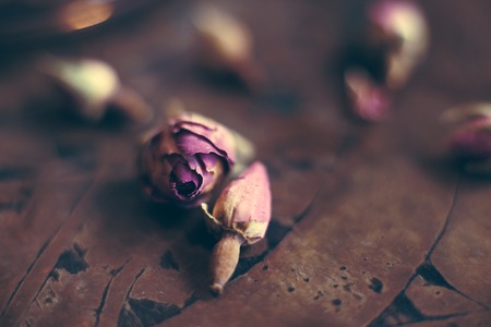 rose buds and petals on old wooden tableの写真素材