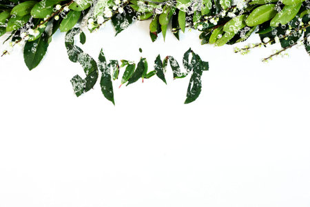 Green leaf with water drop background