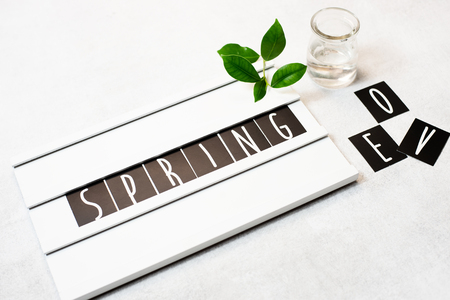 Top view flat lay Spring word on lightboxの写真素材