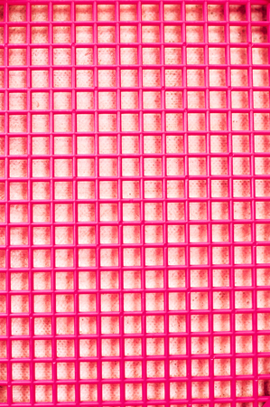 fuchsia pink beach tennis rackets and ballの写真素材