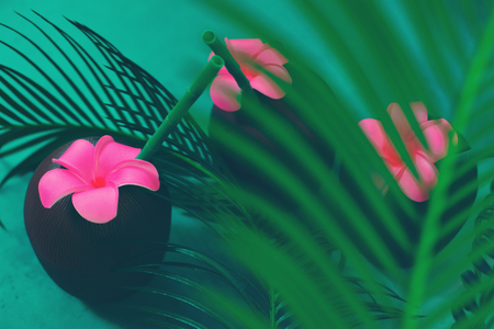 Coconut cocktail with drinking straws and flower between palm tree leavesの写真素材