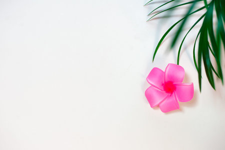 Green leaves of palm tree on pink background