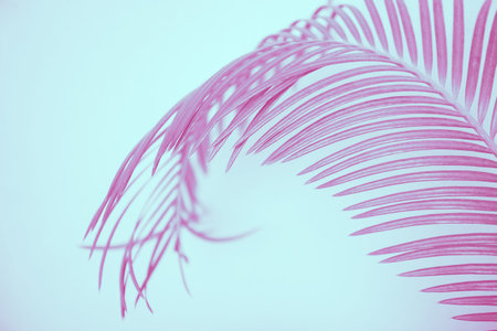 trendy design, nature and background concept blue duotone palm tree leavesの写真素材