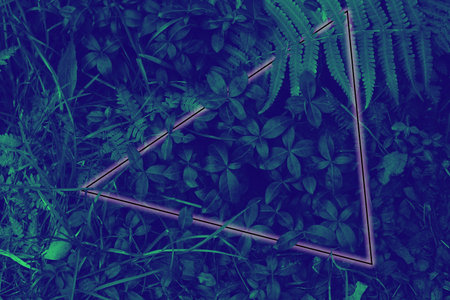 Neon light frame glowing behind leaves. Duotone creative background with free space inside top view...