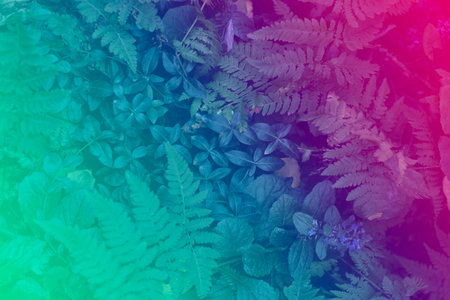 Neon light glowing over leaves. Duotone creative background