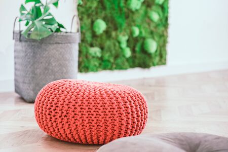 Botanical relaxing living room with green wall and bright knitted poufの写真素材