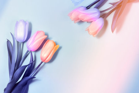 Pink tulips flat lay, top view. Valentines and women day background. Horizontal, creatively toned