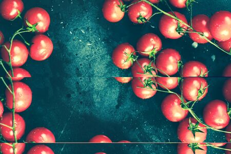 Fresh grape tomatoes as cooking ingredients top view with copyspace low keyの写真素材