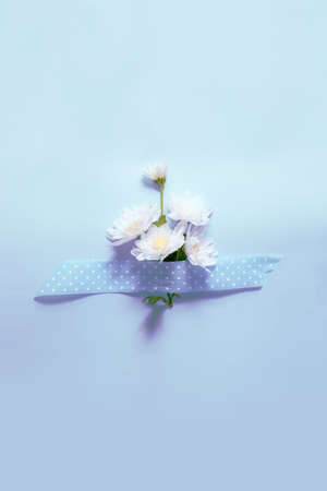 Festive flower composition on blue background still lifeの写真素材