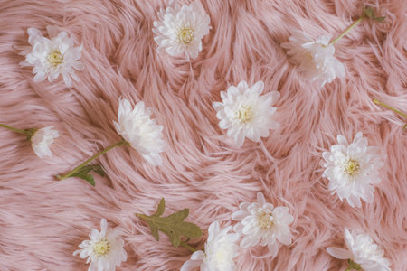 Background with white flowers on pink for background