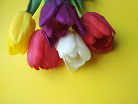 A bouquet of fresh tulips, a gift for the holidayの写真素材
