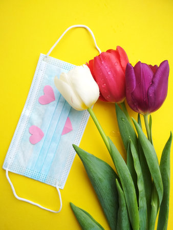 Tulips for the holiday, give flowers to improve healthの写真素材