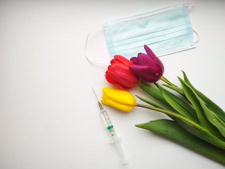 Tulips for the holiday, give flowers to improve healthの写真素材