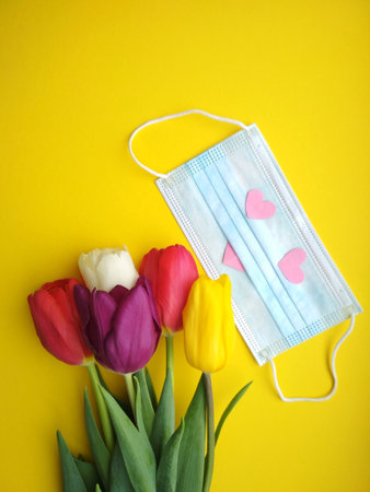 Tulips for the holiday, give flowers to improve healthの写真素材