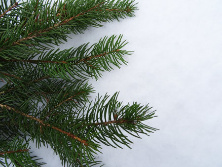 Christmas tree with Christmas decorations, background image, holiday greetingsの写真素材