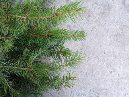 Christmas tree with Christmas decorations, background image, holiday greetingsの写真素材