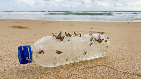 An old plastic bottle washed up on the beach, covered in barnacles. A symbol of the slow...