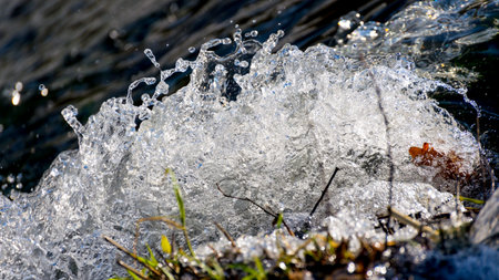 Splashes on a water surfaceの写真素材