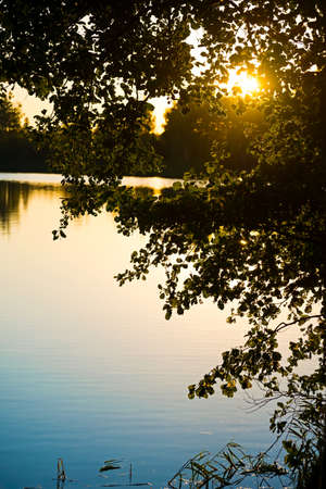 Branches of trees against the background of a sunset over the lakeの写真素材