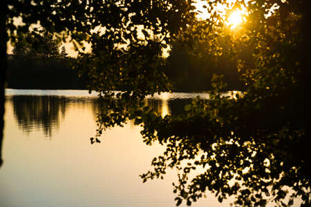 Branches of trees against the background of a sunset over the lakeの写真素材