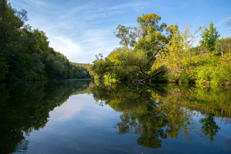 Autumn evening landscape with the river and a beautiful tree. River Osetr in Moscow regionの写真素材