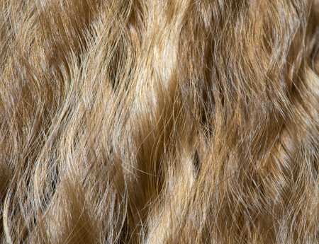 Wavy hair fragment as a texture background composition