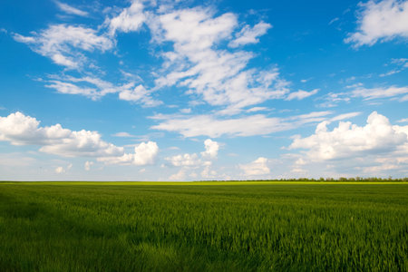 Green meadow under blue sky with clouds. Natural sky composition.の写真素材