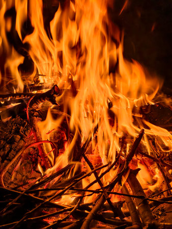 Raging orange flames of fire. Bright flames devour the wood.