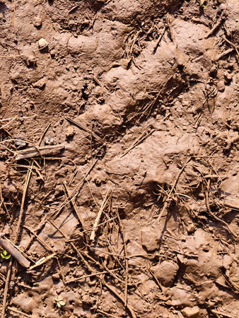 Clay after a rain. Off-road. Clay. The land eroded. Stream after the rain.の写真素材