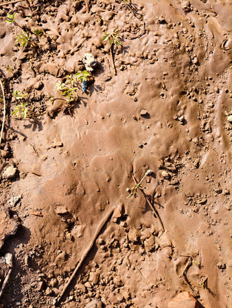 Clay after a rain. Off-road. Clay. The land eroded. Stream after the rain.