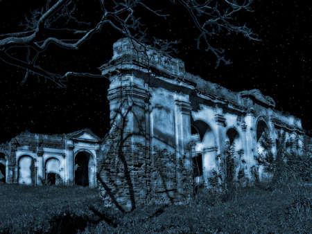 Moonlit Nightの写真素材