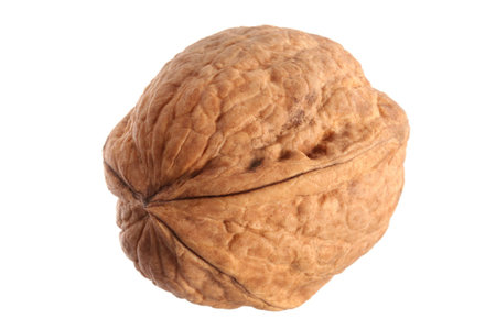 Close-up shot of walnut against white background