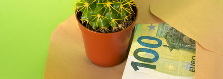 100 euro bill in an envelope and a cactus on a green background. profit. Financeの写真素材