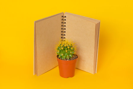 cactus and craft diary with copy space on a yellow background. Planningの写真素材