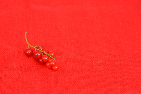 branch of red berries red currant on a red linen background. Vitaminsの写真素材