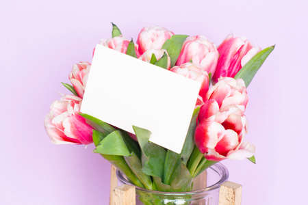 Bouquet of fresh red-white tulips. Gift for romantic date. Tender spring flowers. Bunch of tulips for Mother's Day, March 8の写真素材