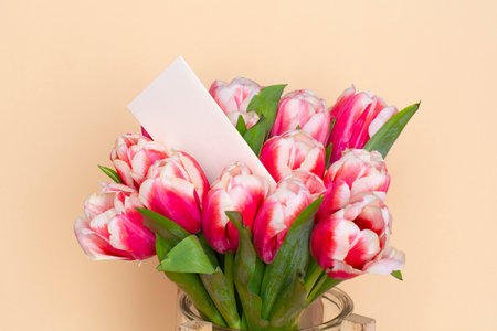 Bouquet of fresh red-white tulips on beige background. Gift for romantic date. Tender spring flowers. Bunch of tulips for Mother's Day, March 8の写真素材