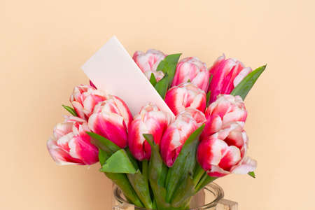 Bouquet of fresh red-white tulips on beige background. Gift for romantic date. Tender spring flowers. Bunch of tulips for Mother's Day, March 8の写真素材