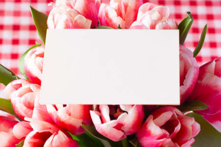 Bouquet of fresh red-white tulips. Gift for romantic date. Tender spring flowers. Bunch of tulips for Mother's Day, March 8の写真素材