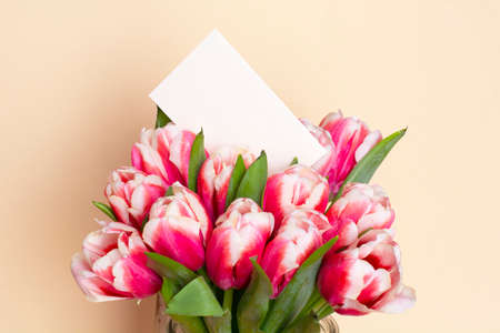 Bouquet of fresh red-white tulips on beige background. Gift for romantic date. Tender spring flowers. Bunch of tulips for Mother's Day, March 8の写真素材