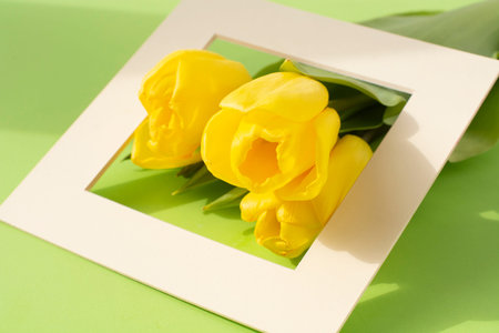 Yellow tulips flowers on green background.Symbol of spring.Mother's Day, Birthday, Valentine's Day. Concept of holiday.Flowers composition.Flat layの写真素材