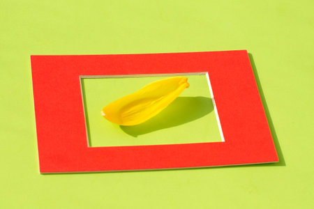 Yellow tulip petal in a frame on a green background. The concept of spring.