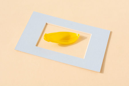 Yellow tulip petal in a frame on a pastel background. The concept of spring.
